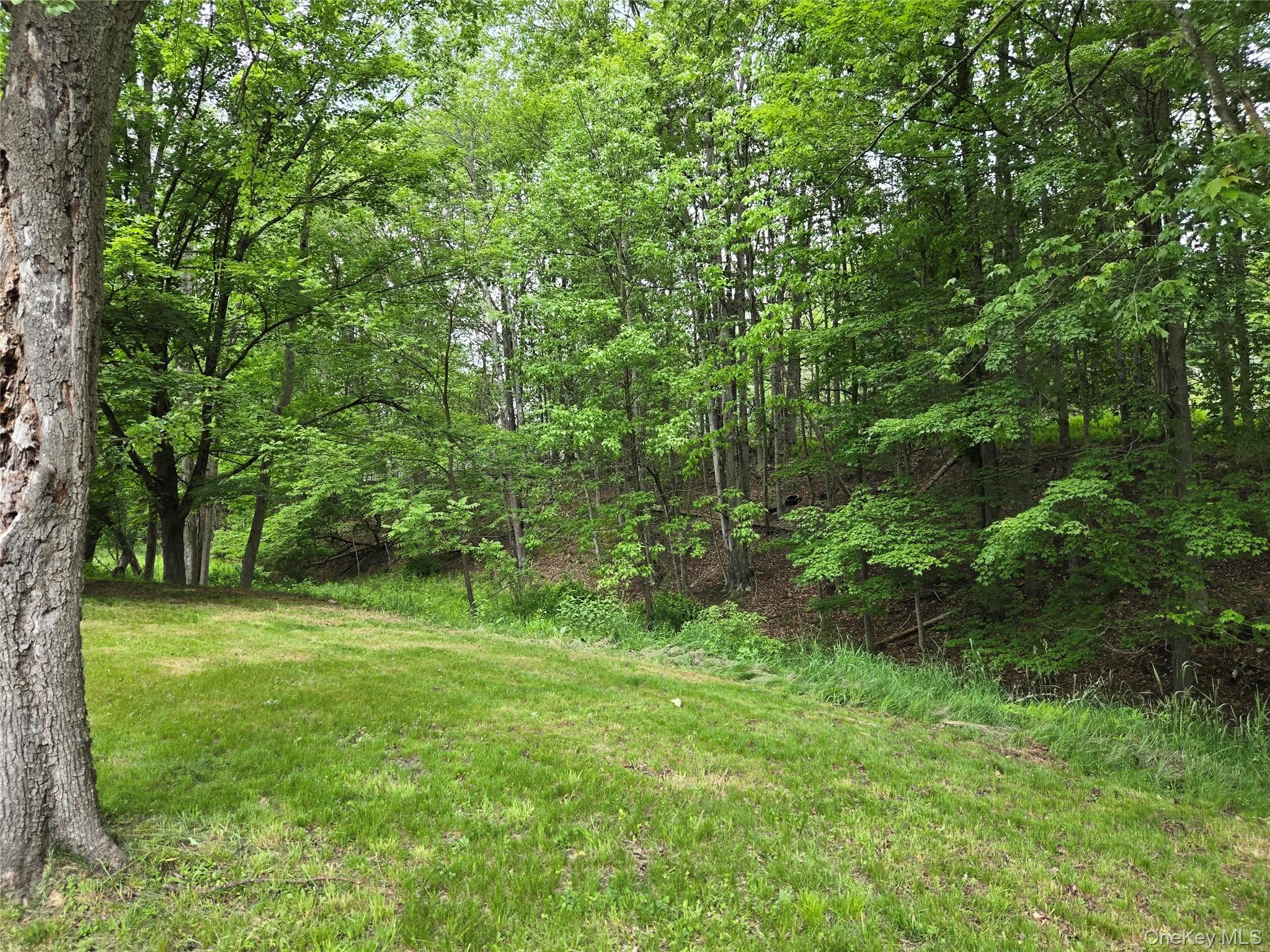 11 Spring Glen Road Mountain Dale, NY 12763 - Photo 3 of 24