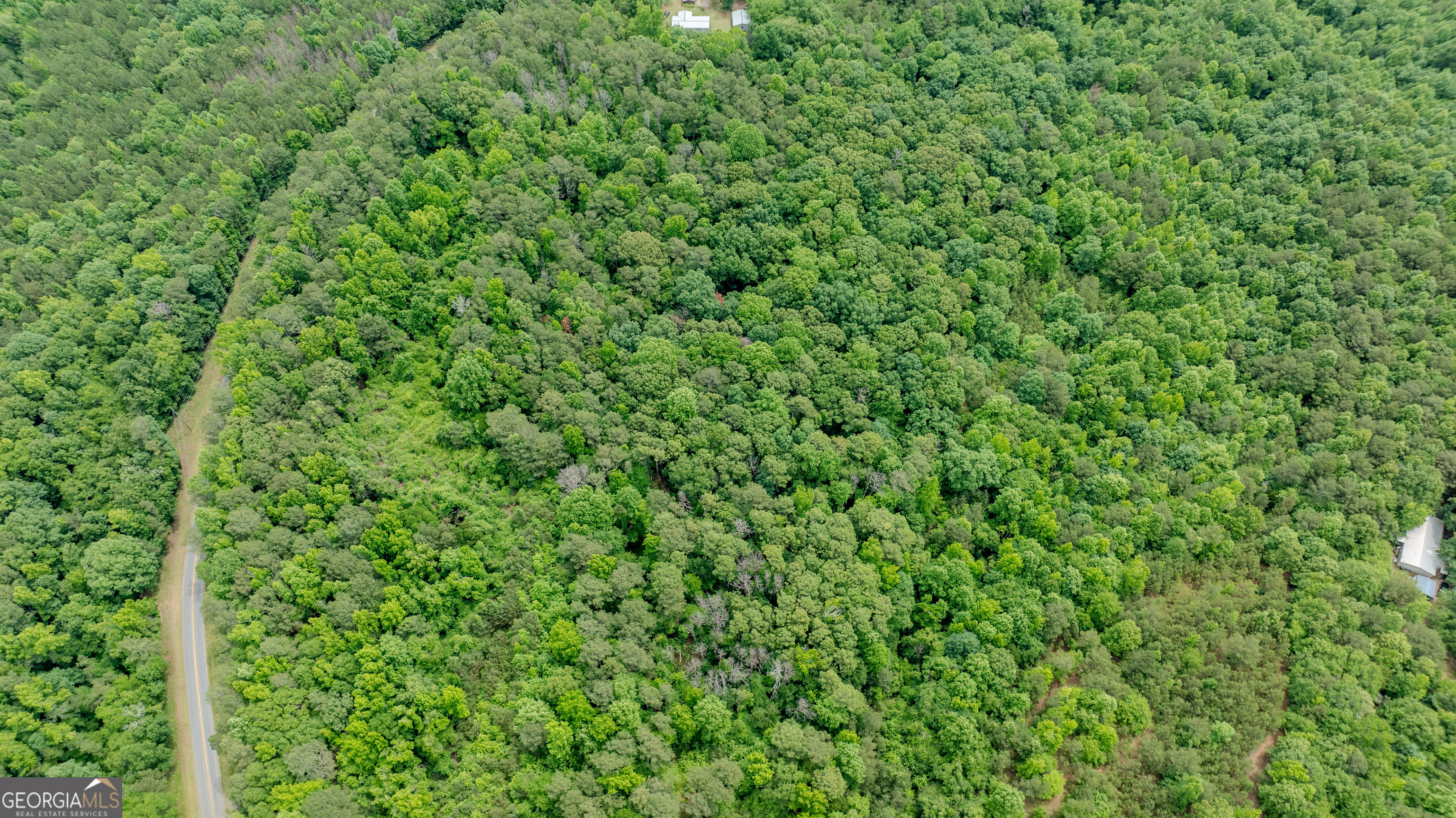 0 Almond Road Franklin, GA 30217 - Photo 6 of 18