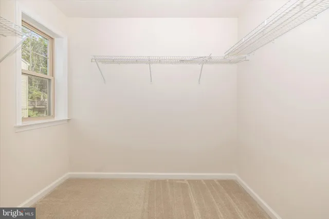 a garden view with a bench in the forest