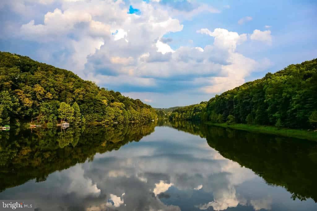 391 Masters Road New Market, MD 21774 - Photo 63 of 71 a view of a lake with a yard