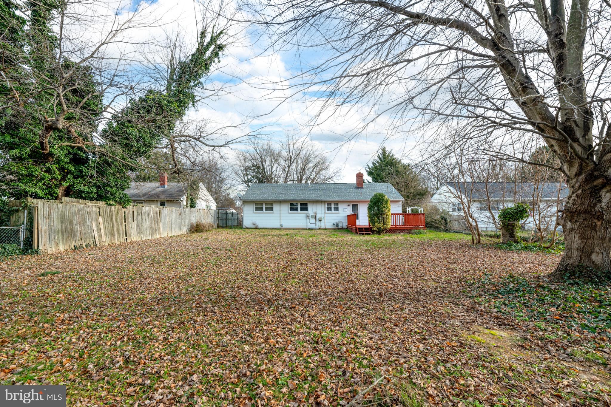 108 North Halsey Road Dover, DE 19901 - Photo 19 of 20 Spacious yard with autumn leaves and trees.