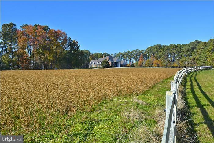 190 Wickman Way Road Chester, MD 21619 - Photo 26 of 30 a view of three green field