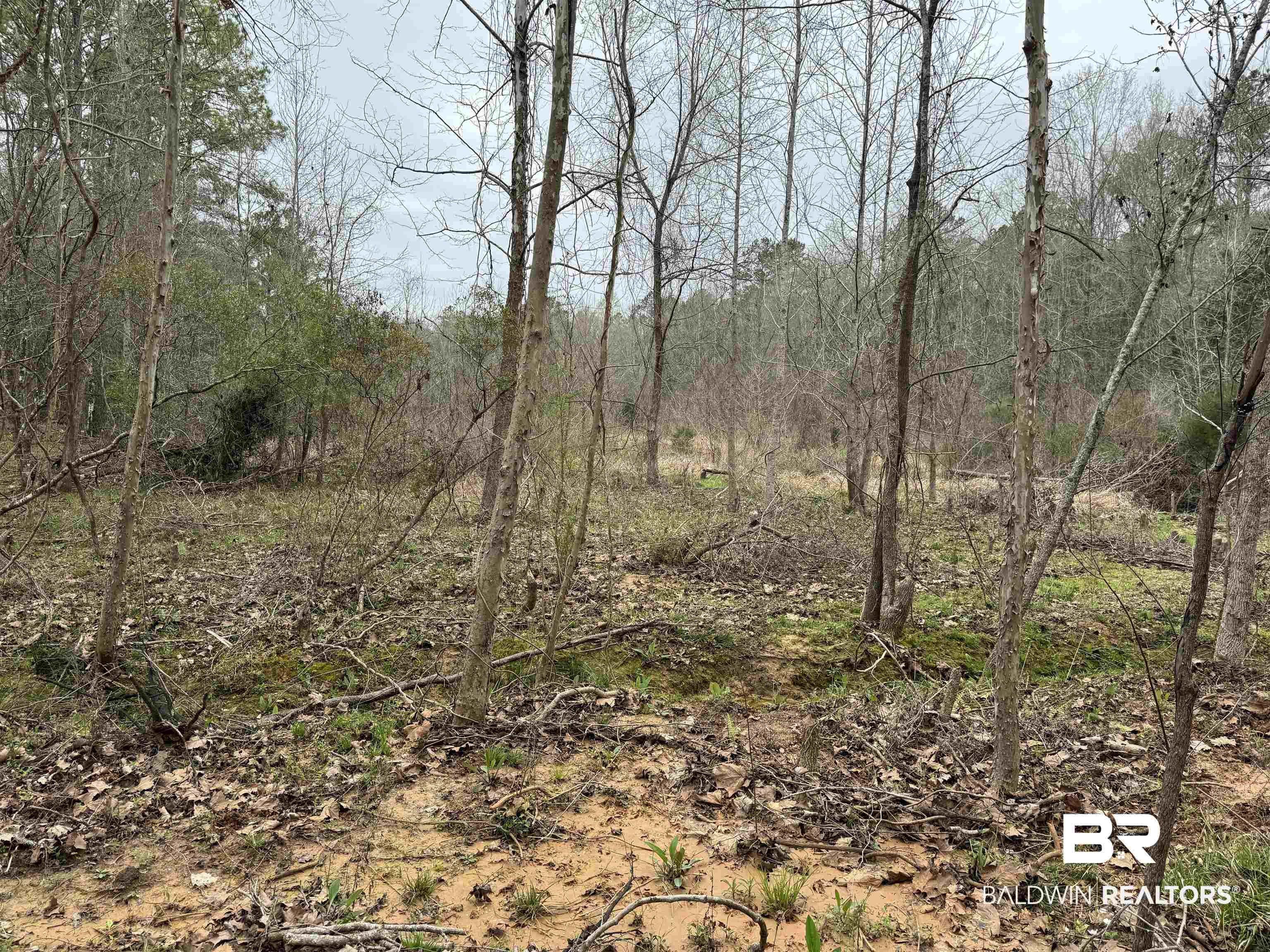 0 Cement Plant Road Jackson, AL 36545 - Photo 20 of 22