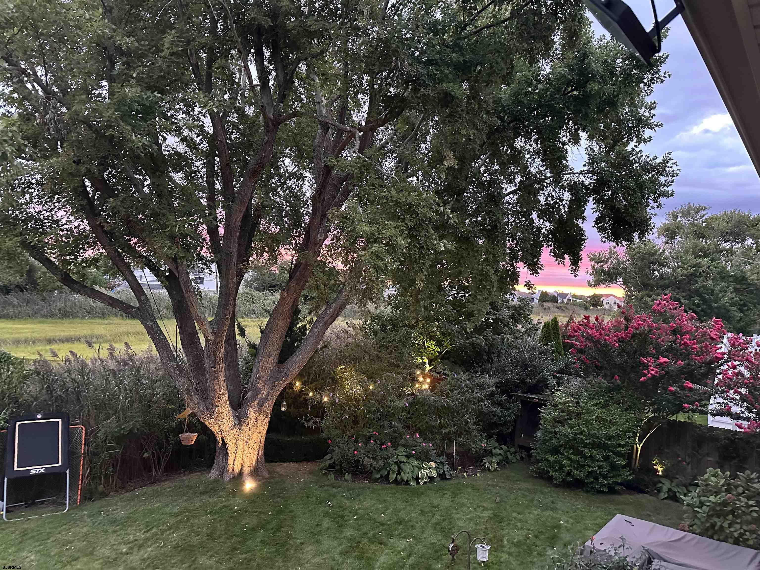 1 Exeter Court Margate City, NJ 08402 - Photo 15 of 25 a view of a park with large tree