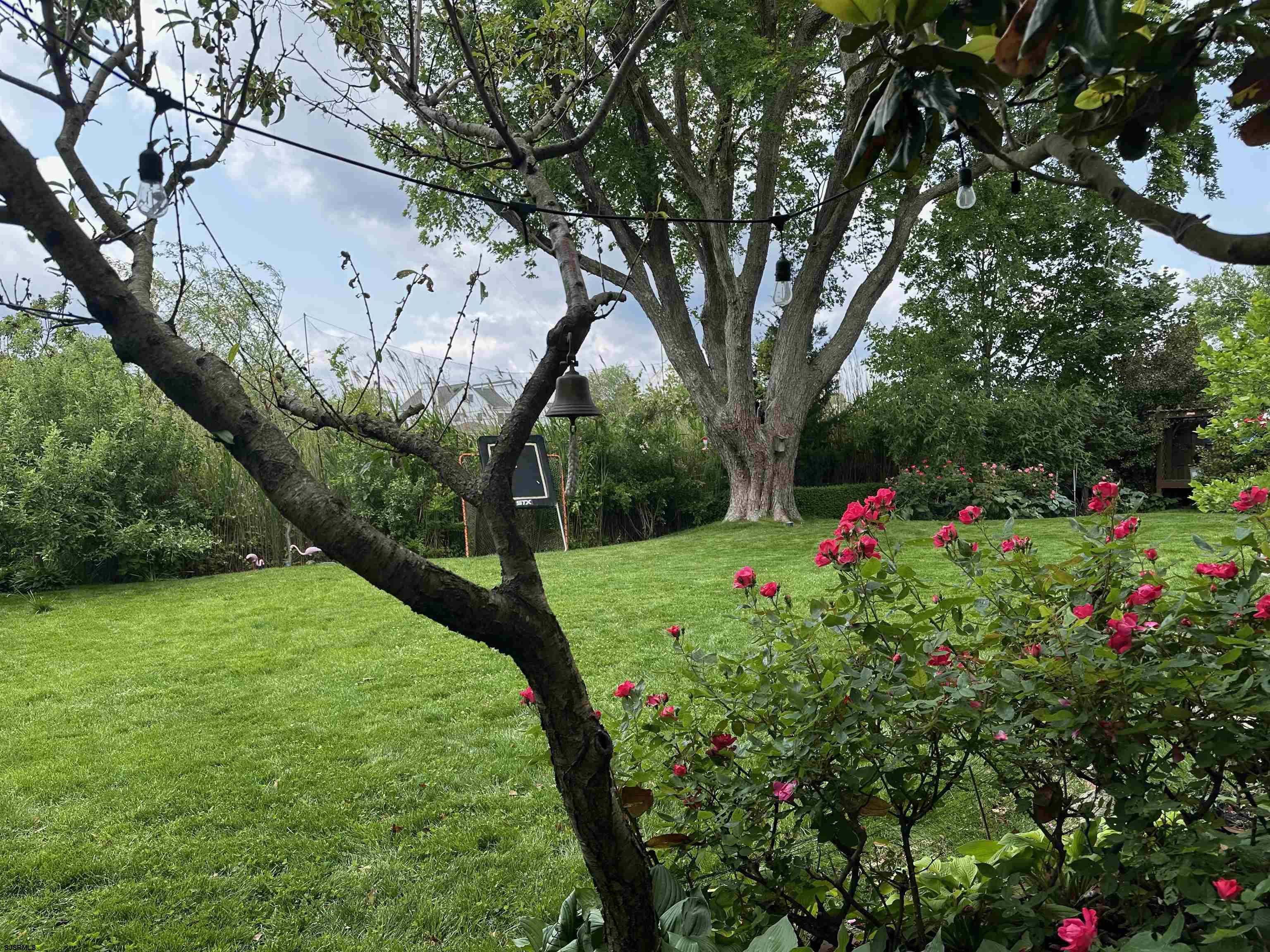 1 Exeter Court Margate City, NJ 08402 - Photo 23 of 25 a view of a flower in a garden