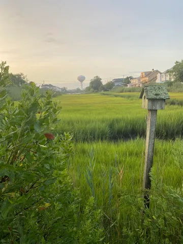 a view of an outdoor space