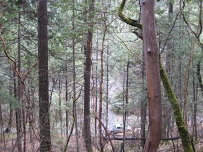 0 Coleman Creek Road Medford, OR 97501 - Photo 2 of 3 Additional Photo
