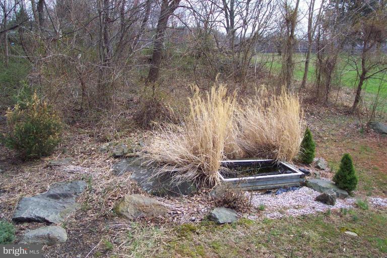 976 Nesbitt Road Colora, MD 21917 - Photo 3 of 13 Wooded View / Acreage