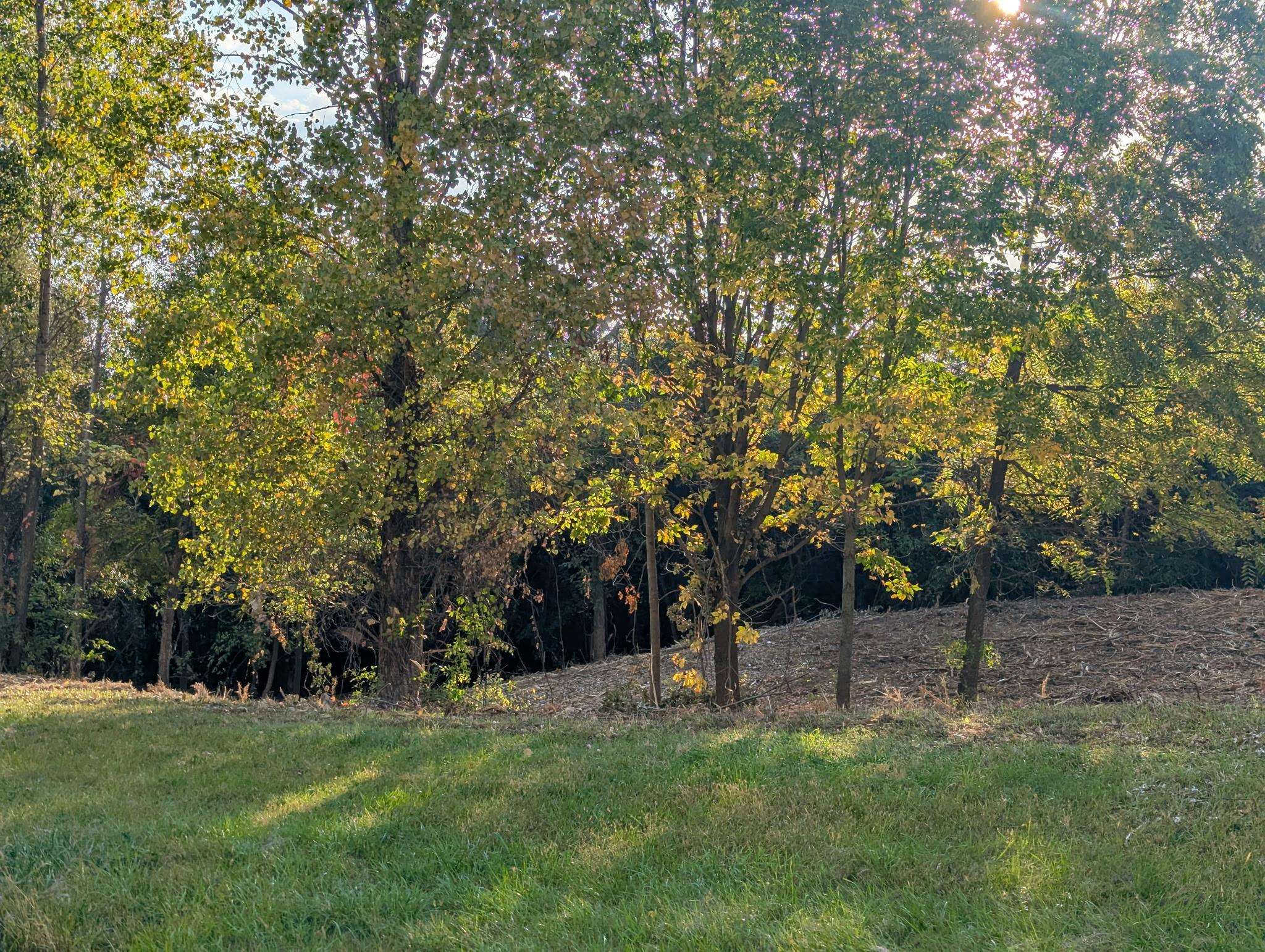 Incline Way Appleton, WI 54913 - Photo 3 of 11