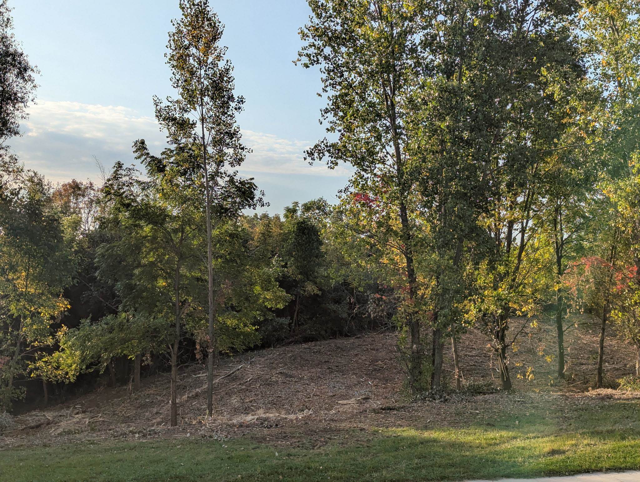 Incline Way Appleton, WI 54913 - Photo 7 of 11