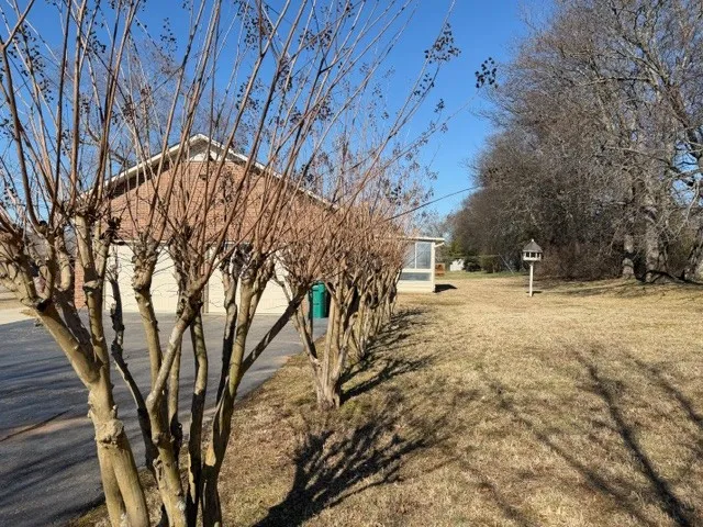 a view of a yard with large trees