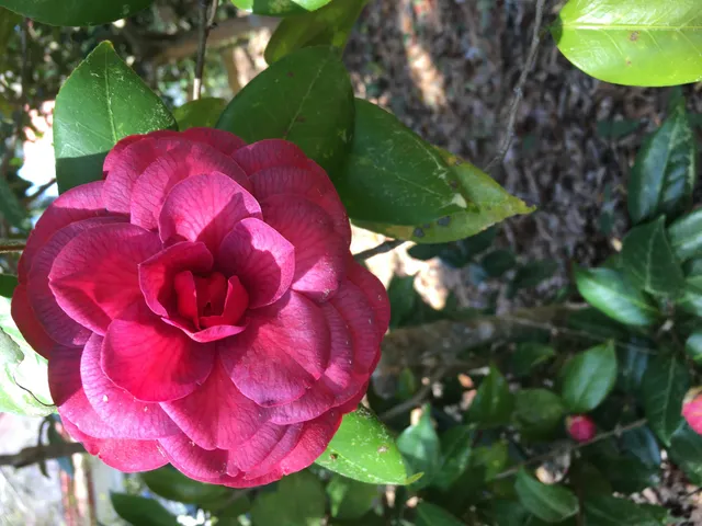 $485,000 | 487 Hampton Street, Walterboro, SC 29488