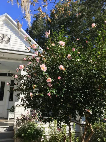 $485,000 | 487 Hampton Street, Walterboro, SC 29488