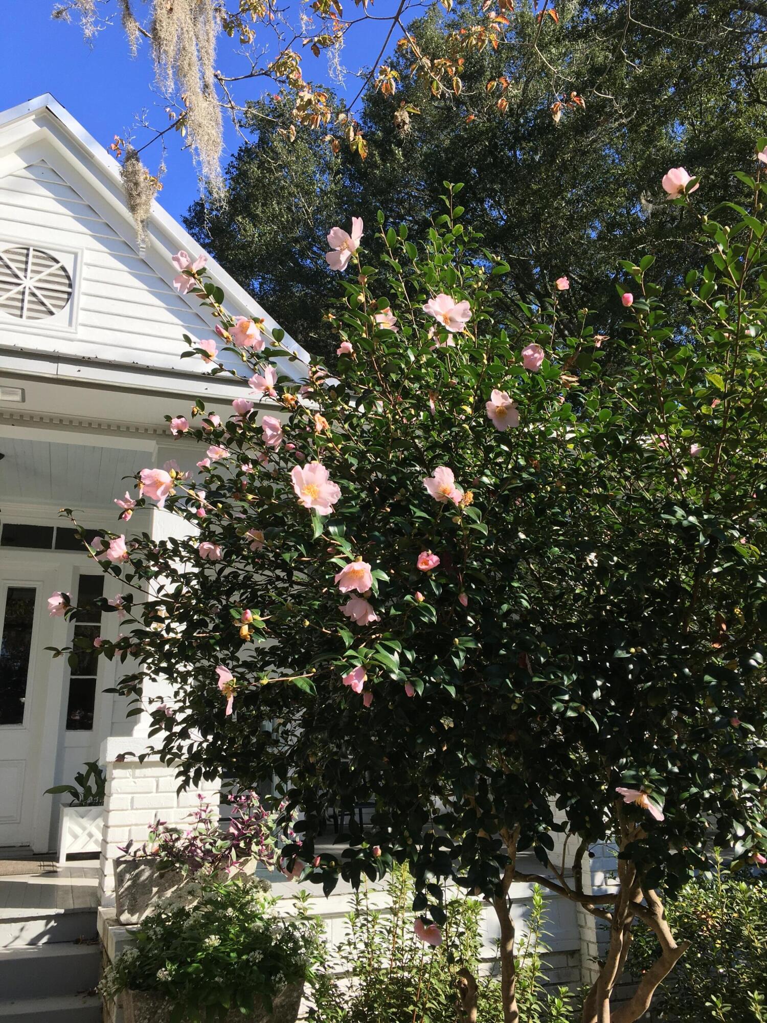 487 Hampton Street Walterboro, SC 29488 - Photo 49 of 49 IMG_5630