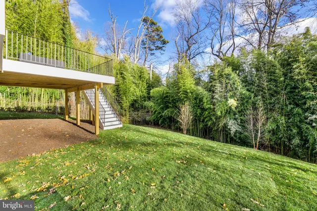 a view of a yard with plants and trees