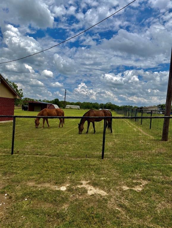 826 Gilliland Road Springtown, TX 76082 - Photo 7 of 28 2 Horses Permitted and can be friends with the ones next door
