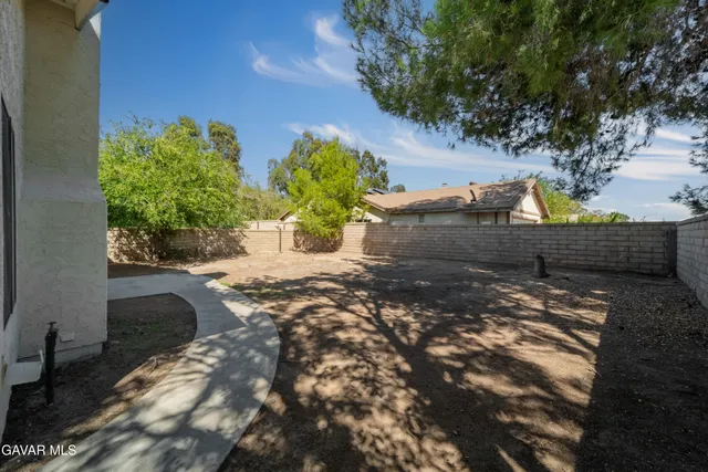 a view of a yard with plants