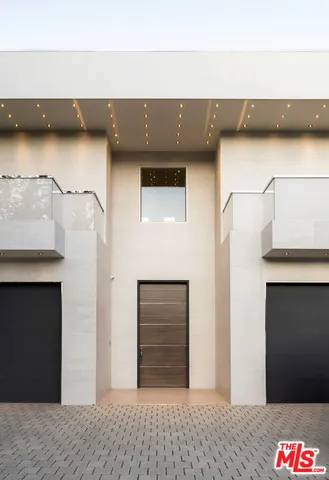 a view of a garden with a plant