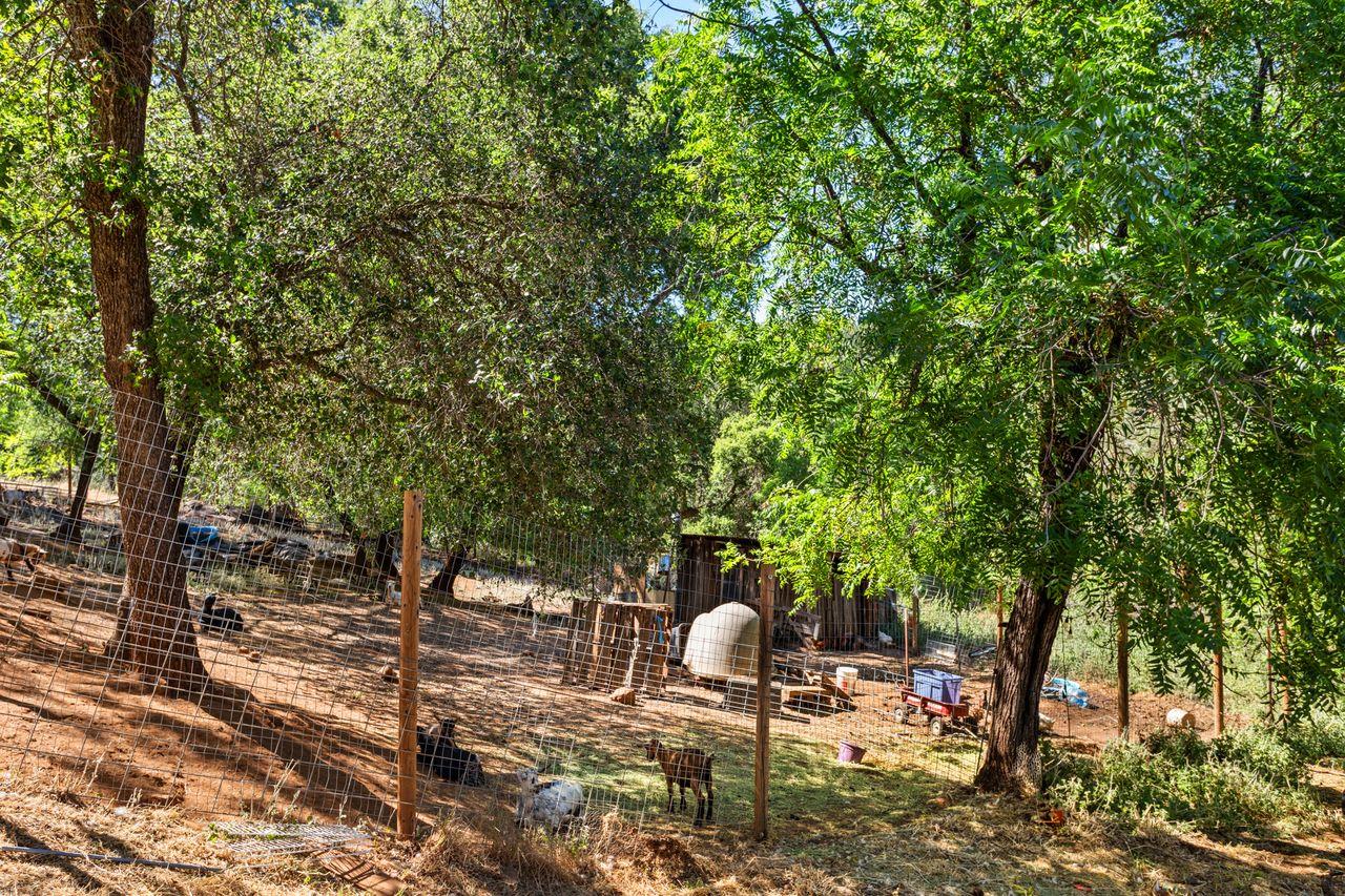 3266 Campbell Circle Rescue, CA 95672 - Photo 27 of 44 Space for farm animals