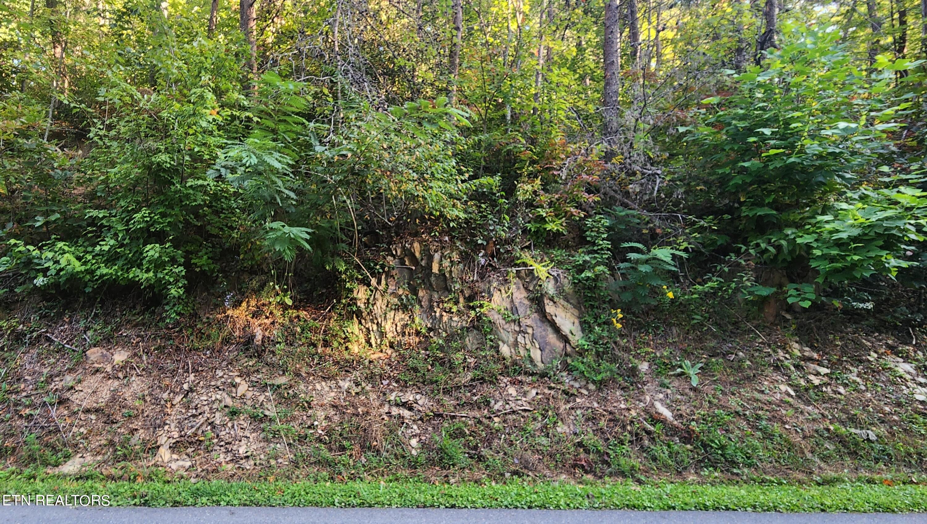 School House Gap Road Sevierville, TN 37876 - Photo 2 of 6 4