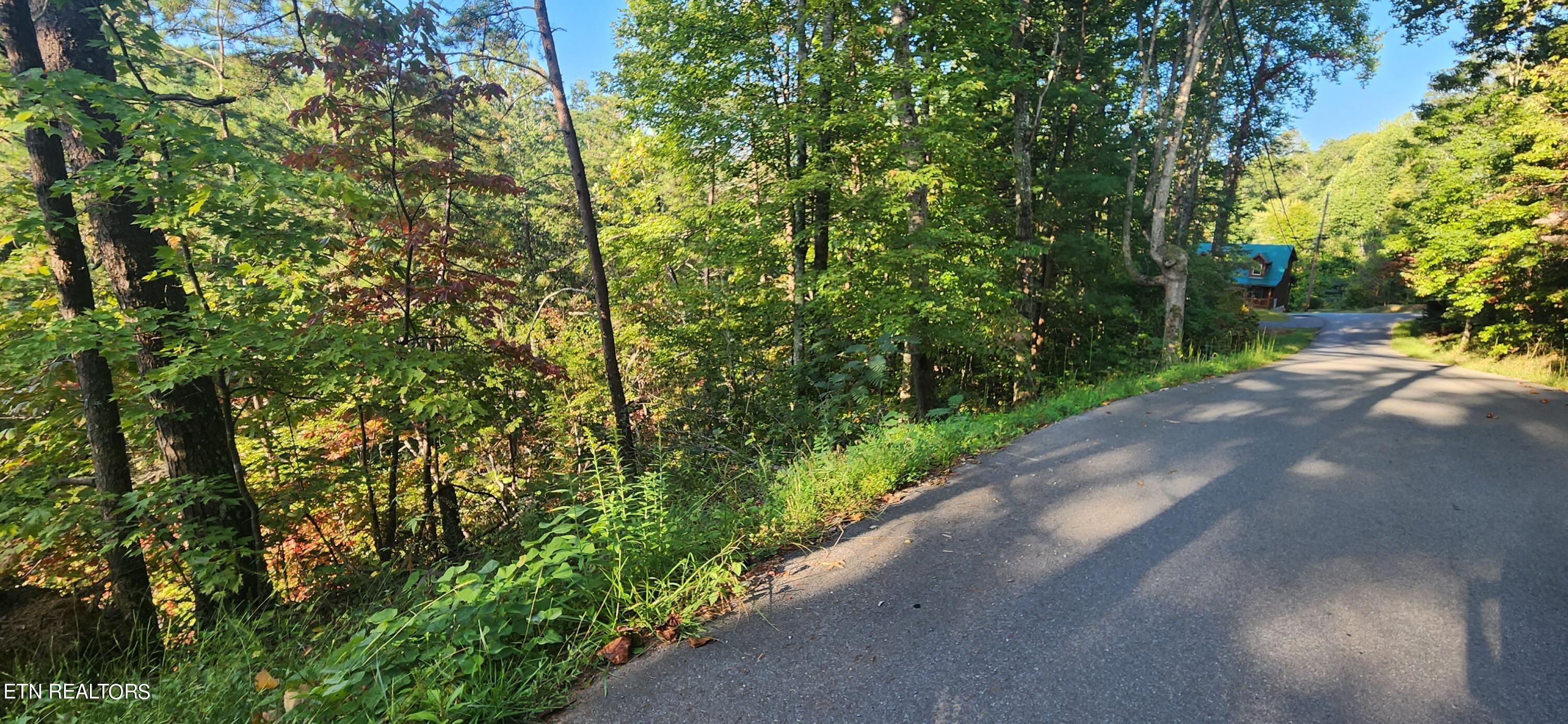 School House Gap Road Sevierville, TN 37876 - Photo 3 of 6 5