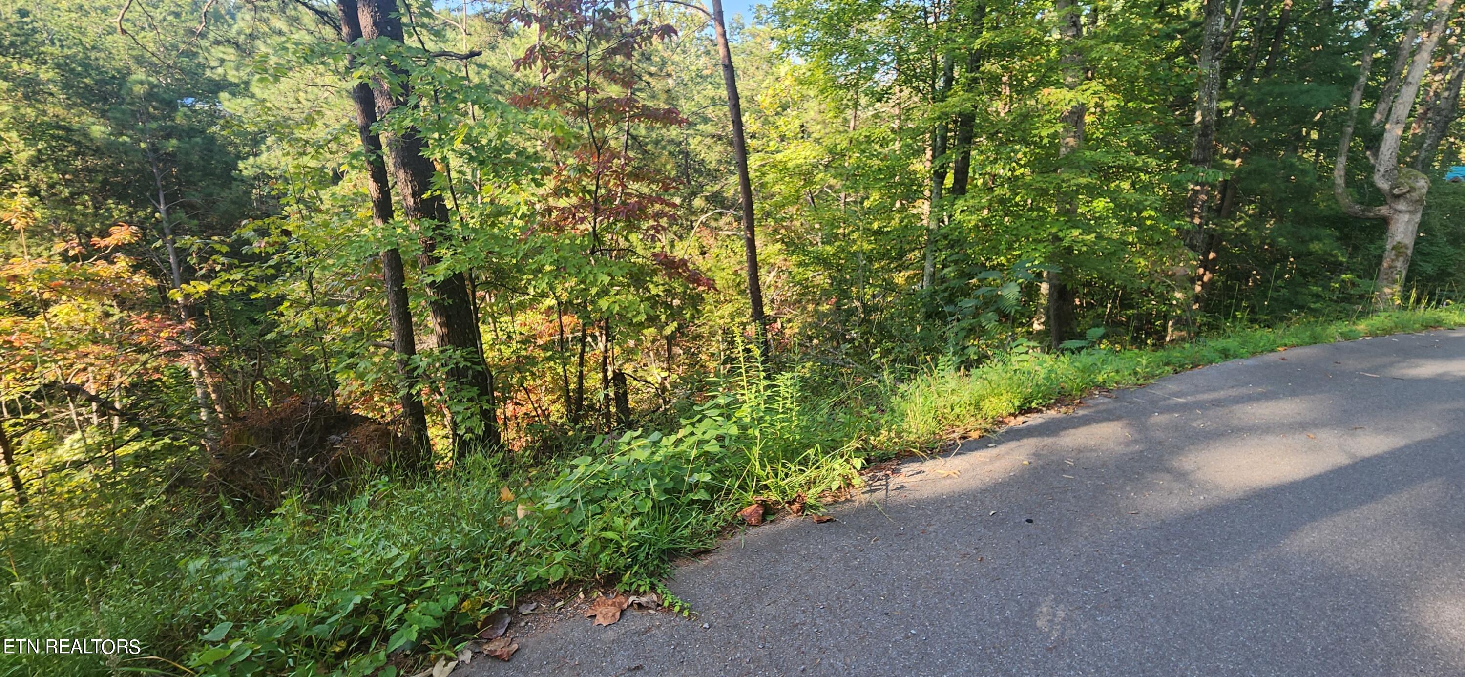School House Gap Road Sevierville, TN 37876 - Photo 4 of 6 7