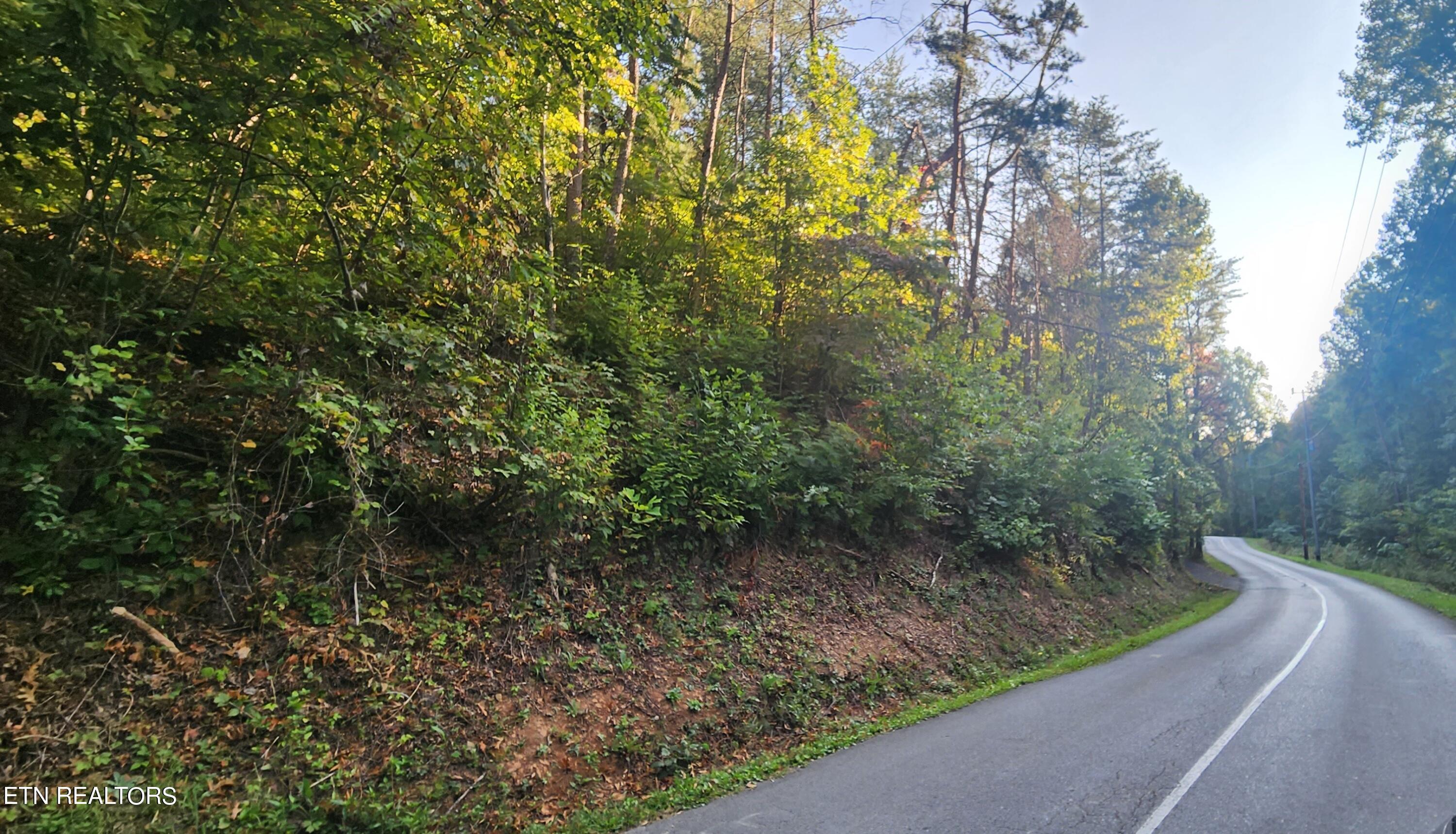 School House Gap Road Sevierville, TN 37876 - Photo 6 of 6 picture