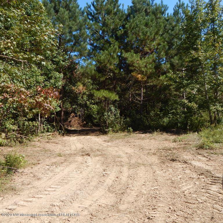 4550 Paul-Shady Grove Road Scobey, MS 38953 - Photo 16 of 36 2 046 (2)