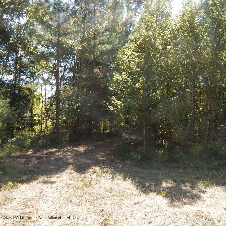 4550 Paul-Shady Grove Road Scobey, MS 38953 - Photo 17 of 36 2 048 (2)