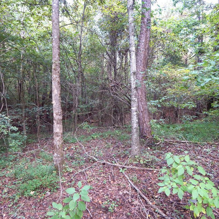 4550 Paul-Shady Grove Road Scobey, MS 38953 - Photo 25 of 36 2 103