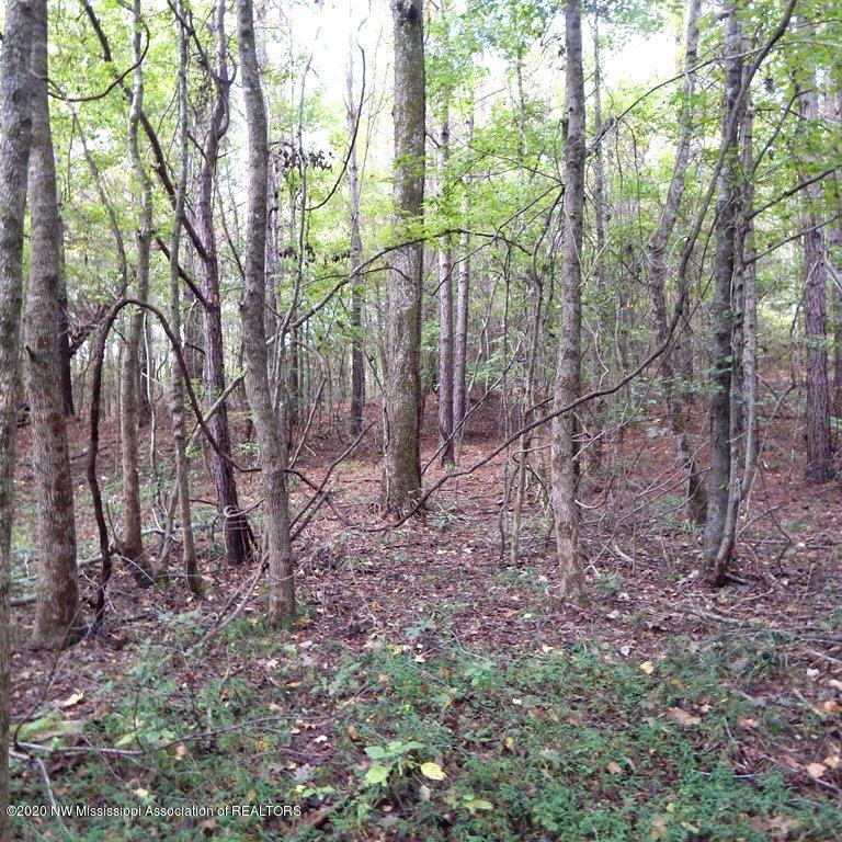 4550 Paul-Shady Grove Road Scobey, MS 38953 - Photo 27 of 36 2 105