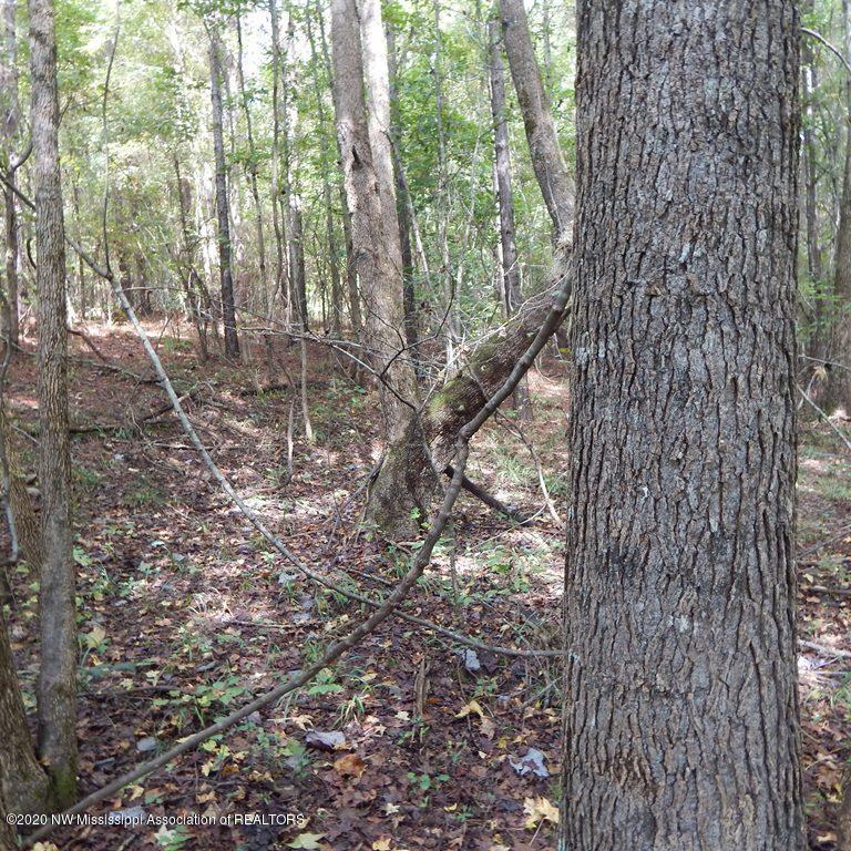 4550 Paul-Shady Grove Road Scobey, MS 38953 - Photo 28 of 36 2 106
