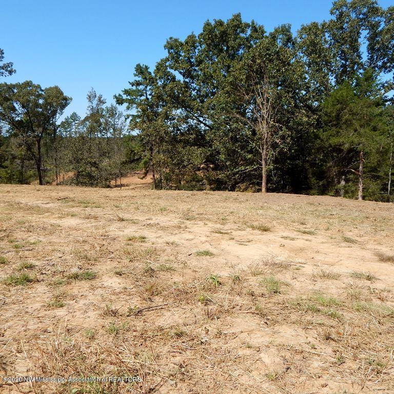 4550 Paul-Shady Grove Road Scobey, MS 38953 - Photo 3 of 36 2 008 (2)