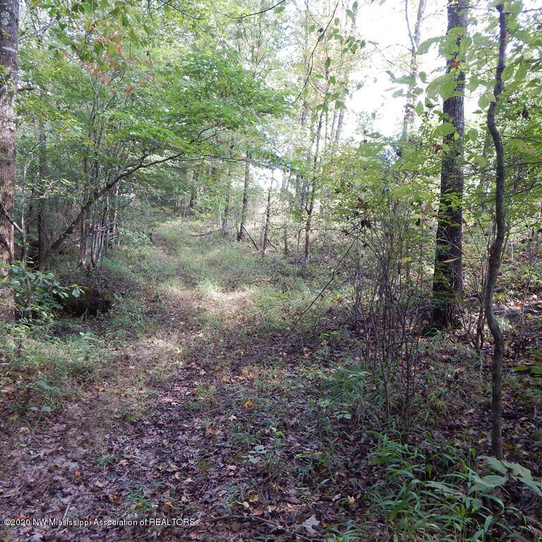 4550 Paul-Shady Grove Road Scobey, MS 38953 - Photo 31 of 36 2 112