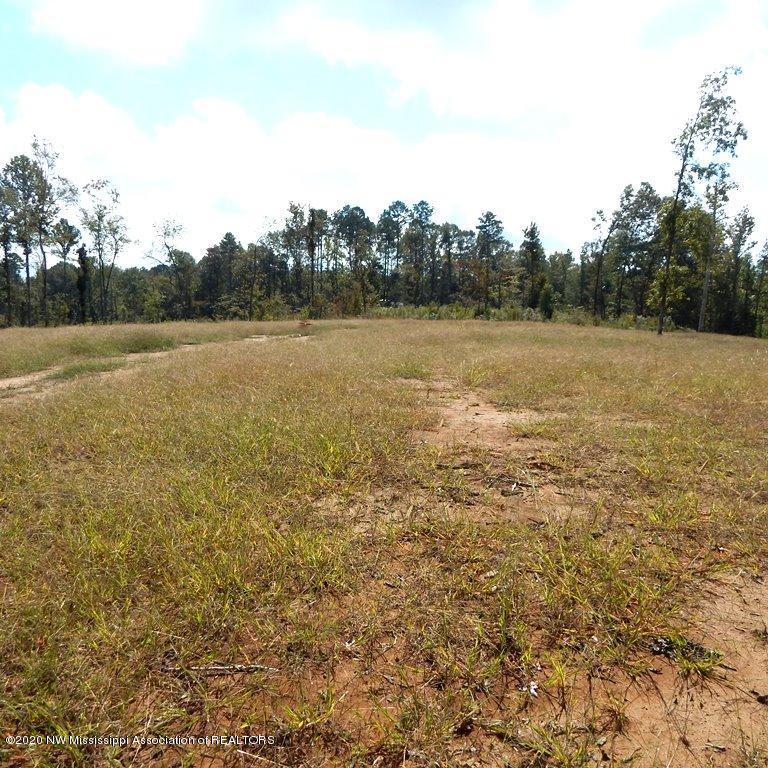 4550 Paul-Shady Grove Road Scobey, MS 38953 - Photo 5 of 36 2 011 (2)
