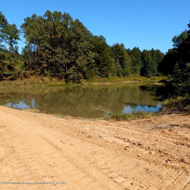 4550 Paul-Shady Grove Road Scobey, MS 38953 - Photo 6 of 36 2 013 (3)