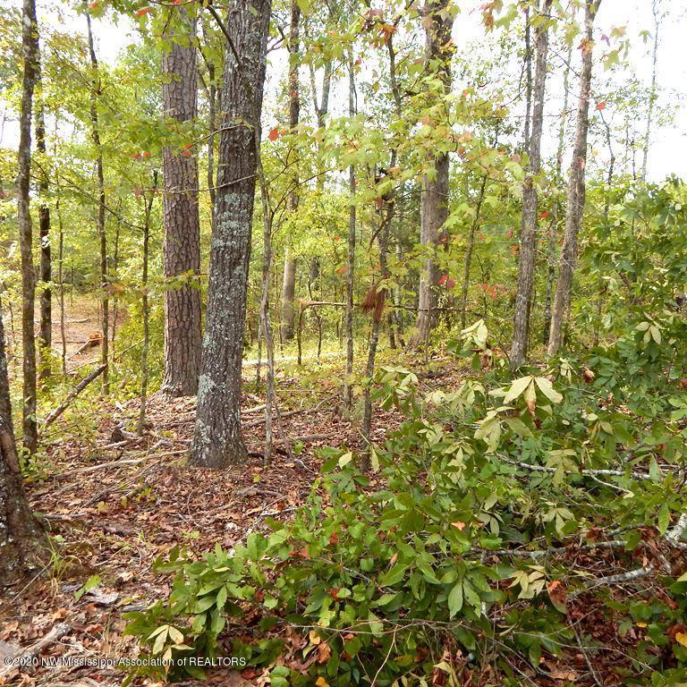 4550 Paul-Shady Grove Road Scobey, MS 38953 - Photo 7 of 36 2 013