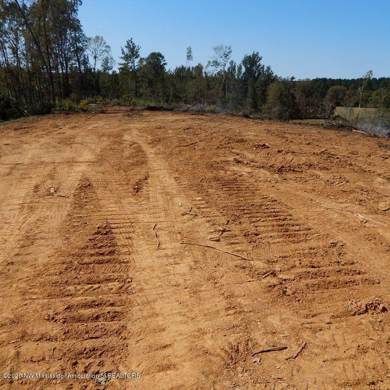 4550 Paul-Shady Grove Road Scobey, MS 38953 - Photo 9 of 36 2 017 (3)