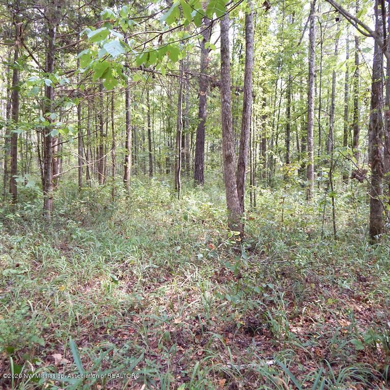 4550 Paul-Shady Grove Road Scobey, MS 38953 - Photo 10 of 36 2 020