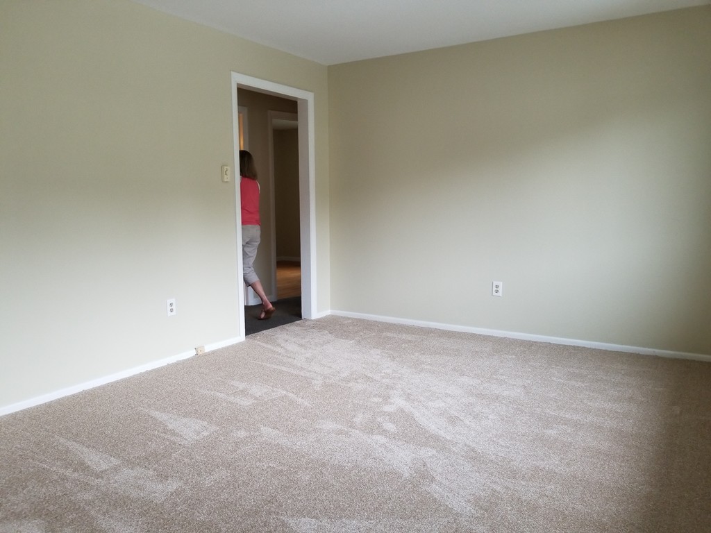 11 Isabel Street Springfield, MA 01109 - Photo 5 of 23