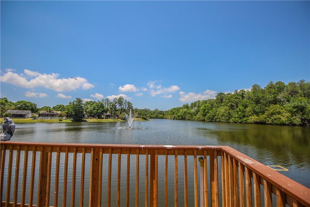 415 Cedar Ridge Court Oldsmar, FL 34677 - Photo 34 of 38 Gallery Image 34