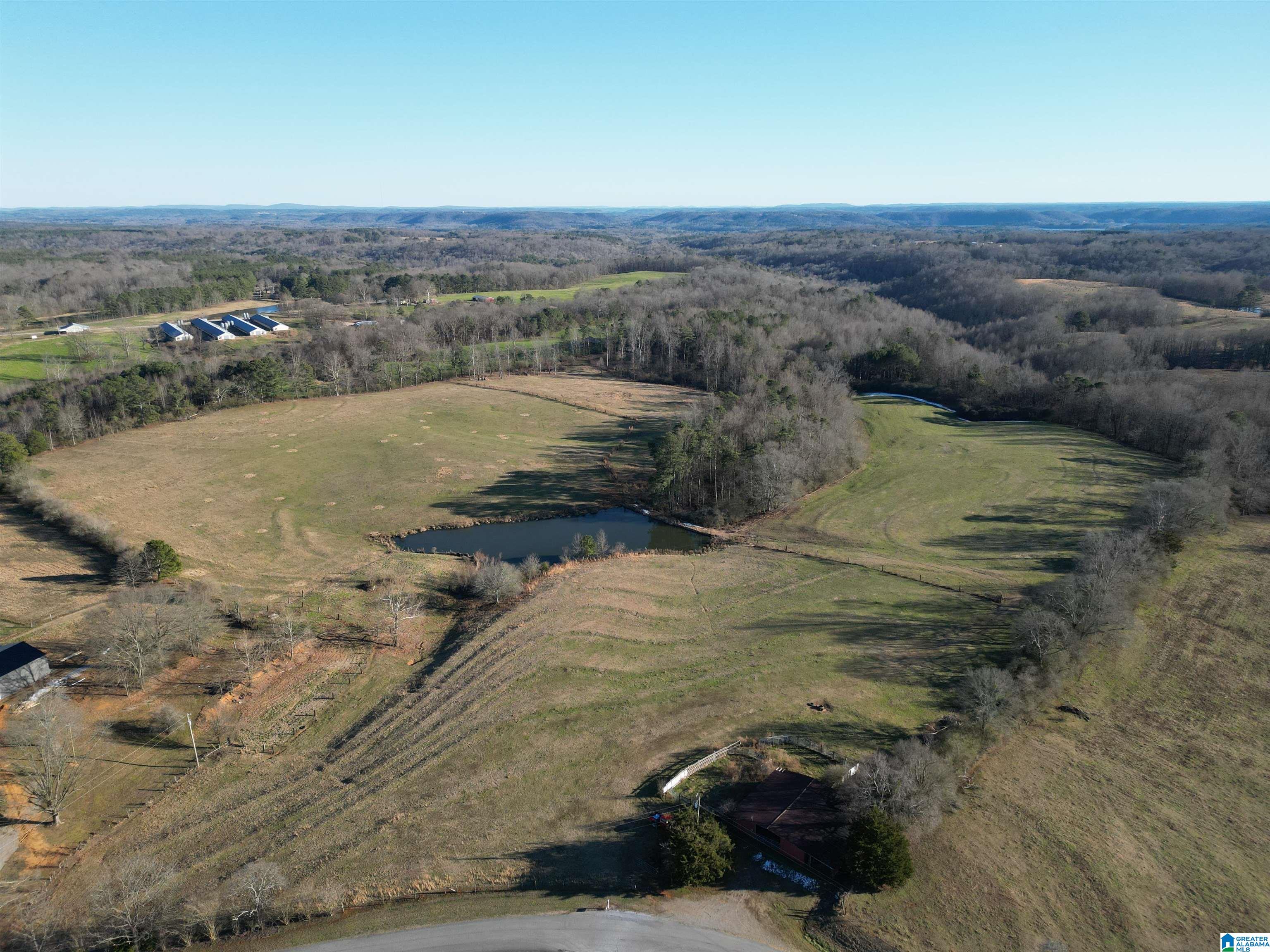 682 County Road 832 Logan, AL 35098 - Photo 30 of 48