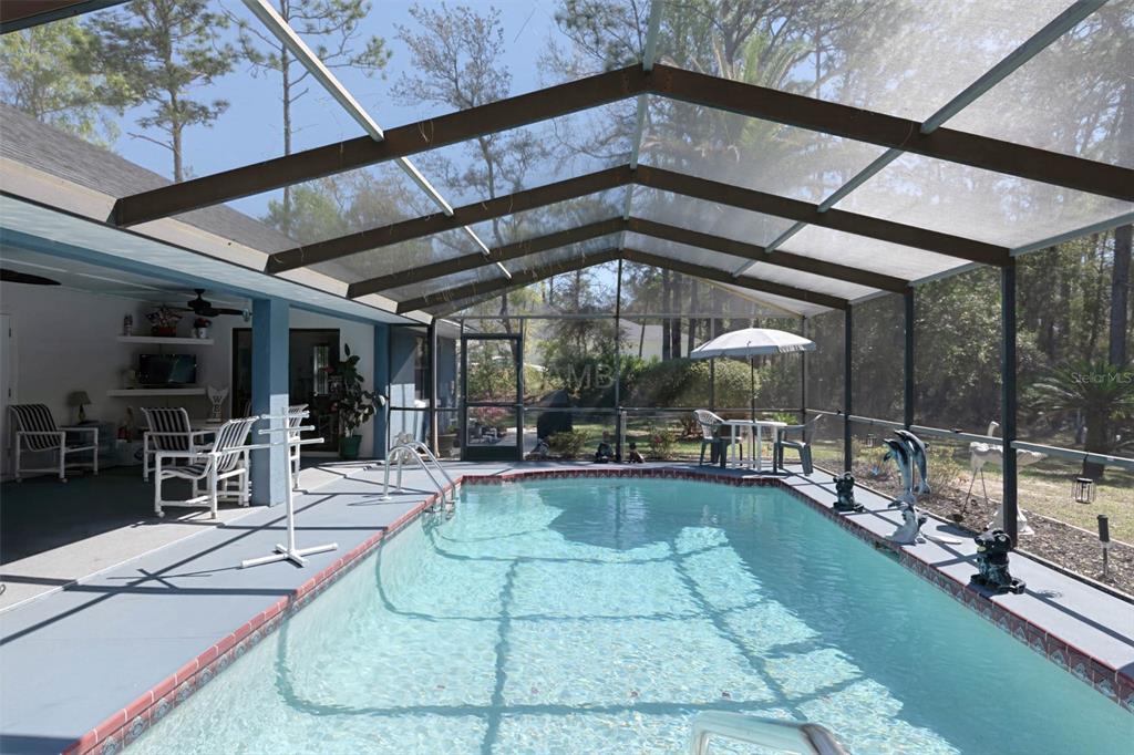 2298 West Pine Ridge Boulevard Beverly Hills, FL 34465 - Photo 30 of 34 a view of a swimming pool with outdoor seating