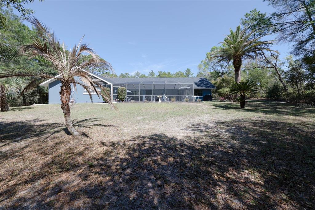 2298 West Pine Ridge Boulevard Beverly Hills, FL 34465 - Photo 32 of 34 a view of backyard with outdoor and green space