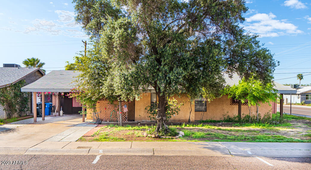 3247 West Camelback Road Phoenix, AZ 85017 - Photo 10 of 15 _DSC7137-HDR
