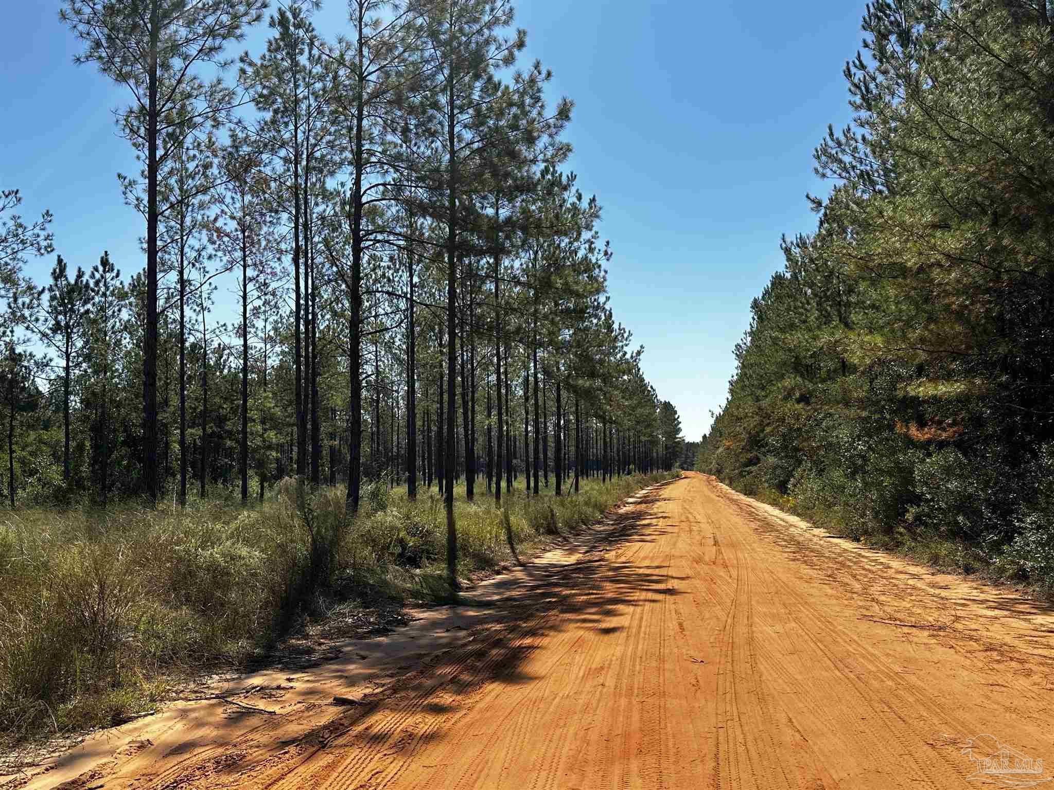 E2 Northeast Walther Road Milton, FL 32570 - Photo 1 of 8 Gallery Image 1