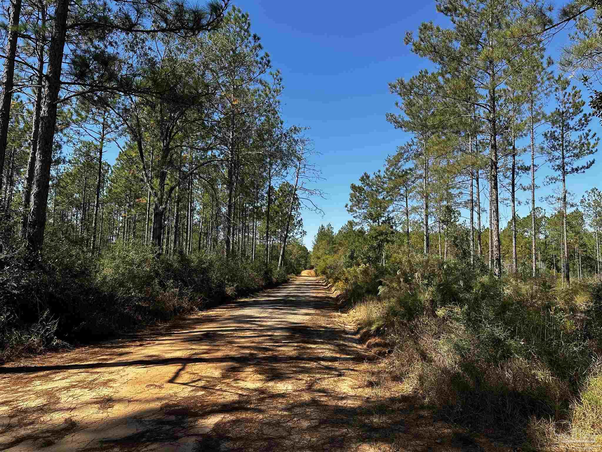 E2 Northeast Walther Road Milton, FL 32570 - Photo 6 of 8 Gallery Image 6