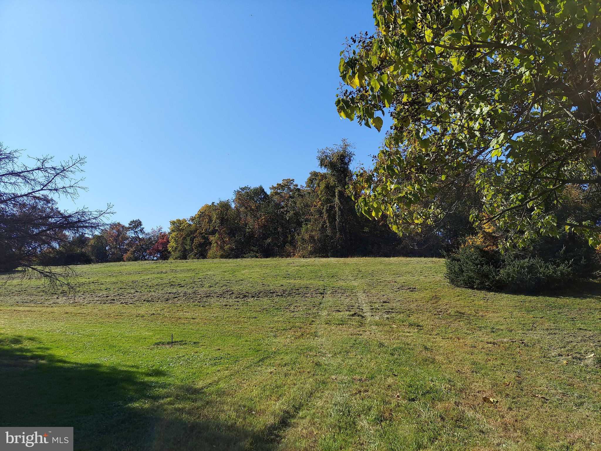 2362 Mt Zion Road York, PA 17406 - Photo 2 of 8 view of land from Mt Zion Rd