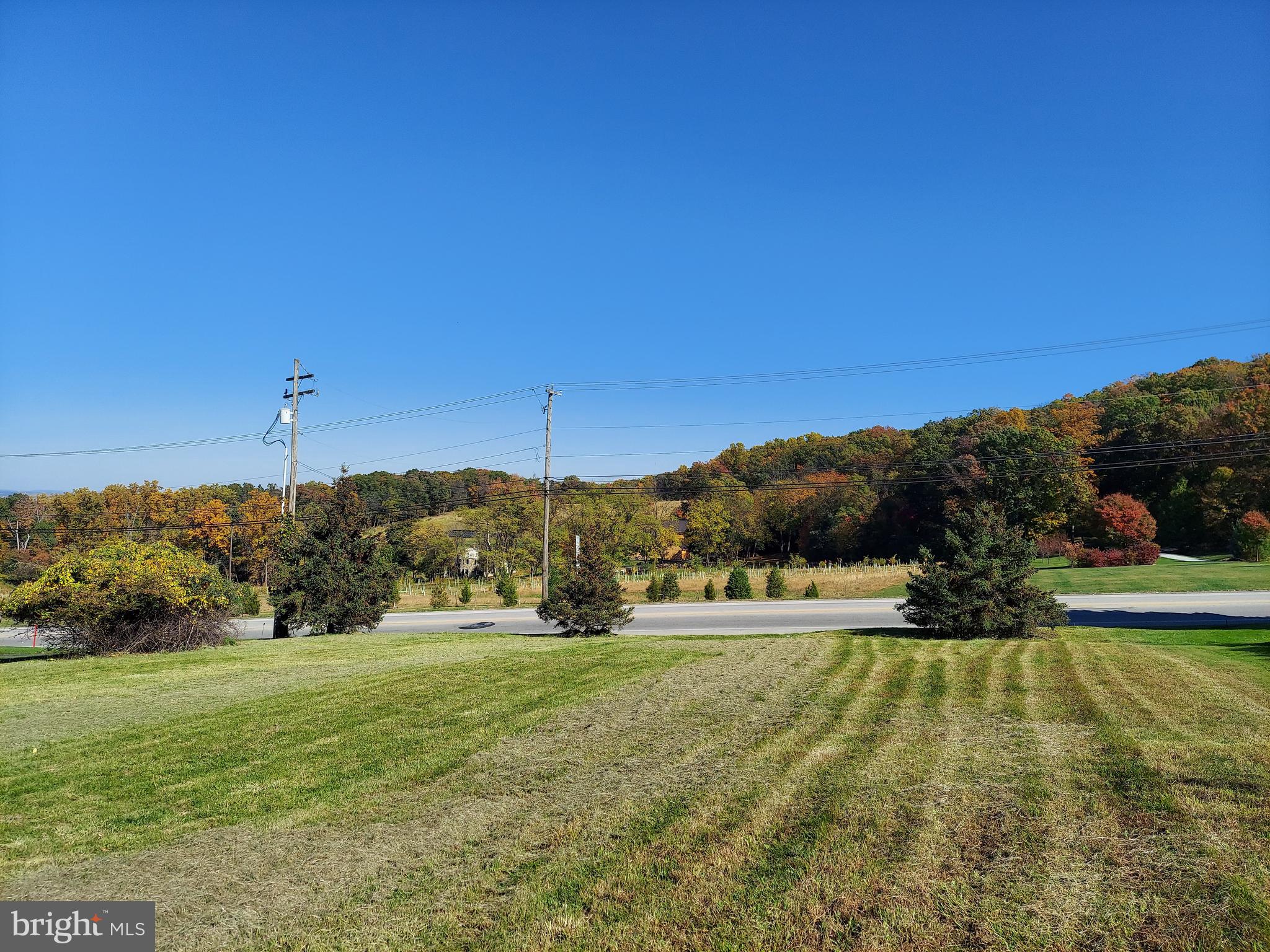 2362 Mt Zion Road York, PA 17406 - Photo 3 of 8 Lower section of the land near Mt Zion Rd