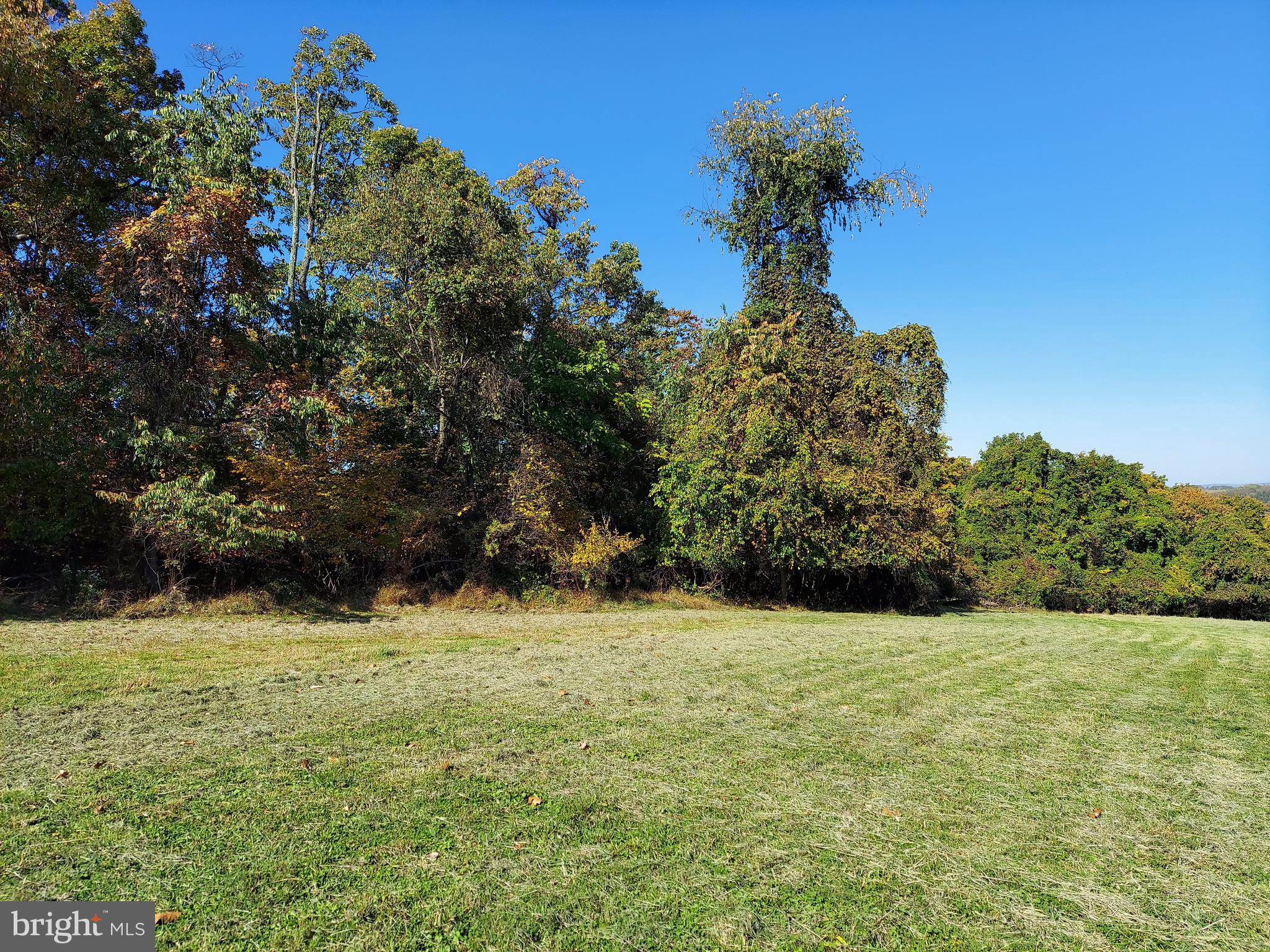 2362 Mt Zion Road York, PA 17406 - Photo 5 of 8 View of the Woods